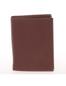 Pánska kožená hnedá peňaženka - Delami Therron hnedá