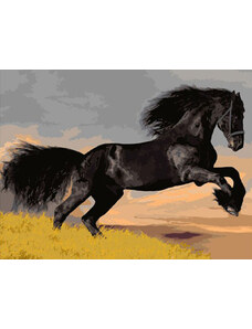 Gaira Malovanie podľa čísel Čierny kôň M1498
