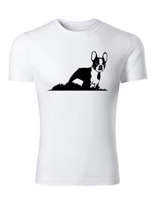 T-ričko Boston Terrier pánske tričko