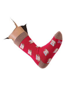 Crazystep Červené ponožky so sovičkou