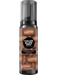 Matrix Color Blow Dry Temporary Color 70ml, Chestnut