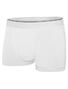 Biele pánske boxerky (GPB15)