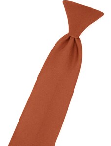 Škoricovo hnedá chlapčenská kravata Avantgard 558-9841