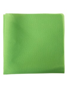 Zelená pánska vreckovka z polyesteru Avantgard 583-9829