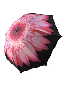 Dáždnik - ružový kvet