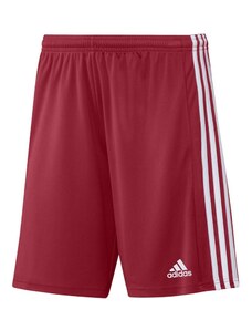 Pánské šortky Squadra 21 Short M GN5771 - Adidas