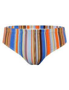 Aoda Raynas stripes pánske slipové plavky