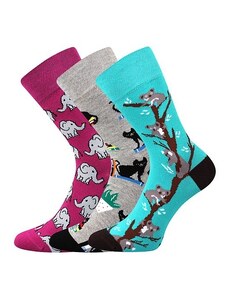 WOODOO farebné veselé ponožky Lonka - KOALY