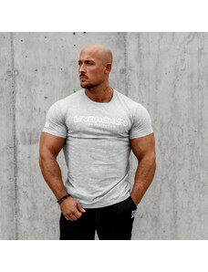 Pánske fitness tričko Iron Aesthetics Unbroken, sivé