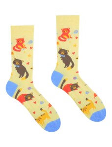 HestySocks Veselé ponožky Hravé mačičky