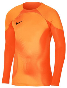 Dres s dlhým rukávom Nike Dri-FIT ADV Gardien 4 Goalkeeper LS dh7967-819