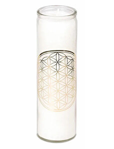 Nefertitis Vonná sviečka v skle s vôňou mäty, lemongrass a kadidla Kvetina života biela - cca 800 g