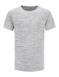 Men's quick-drying T-shirt ALPINE PRO VIAR dk.true gray