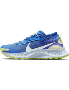 Trailové topánky Nike Pegasus Trail 3 Gore-Tex dc8794-400