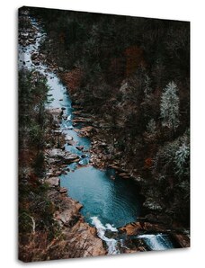 Gario Obraz na plátne Rieka v lese Rozmery: 40 x 60 cm