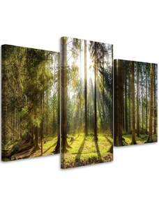 Gario Obraz na plátne Slnečný deň v lese - 3 dielny Rozmery: 60 x 40 cm