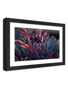 Gario Plagát Krásna rastlina Farba rámu: Čierna, Rozmery: 100 x 70 cm