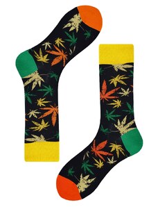 Socks Amsterdam leaf ponožky veselé SK-008