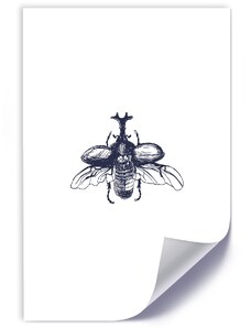 Gario Plagát Lietajúci chrobák Farba rámu: Bez rámu, Rozmery: 30 x 45 cm