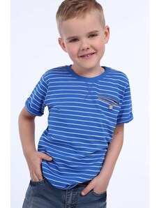 FASARDI Boys' cornflower blue striped T-shirt