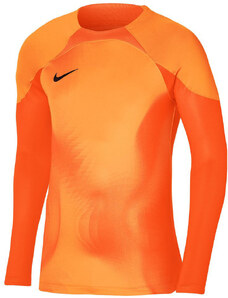 Dres s dlhým rukávom Nike Dri-FIT ADV Gardien 4 Goalkeeper dh8346-819