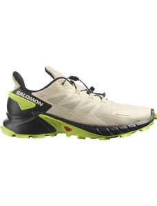 Trailové topánky Salomon SUPERCROSS 4 l41737200