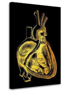 Gario Obraz na plátne Zlatá anatómia, prierez srdcom - Gab Fernando Rozmery: 40 x 60 cm