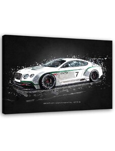 Gario Obraz na plátne Bentley continental gt3r - Gab Fernando Rozmery: 60 x 40 cm