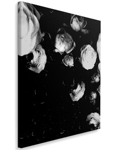 Gario Obraz na plátne Čiernobiele pivonky - Dmitry Belov Rozmery: 40 x 60 cm