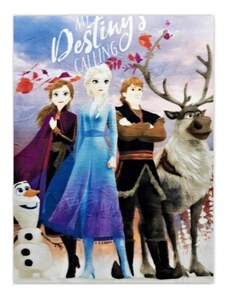 Setino Detská fleecová deka Ľadové kráľovstvo - Frozen - motív My destiny’s calling - 100 x 140 cm