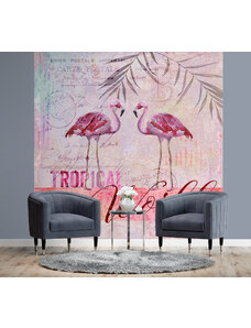 Gario Fototapeta Zvieratá ružových plameňov - Andrea Haase Materiál: Vliesová, Rozmery: 100 x 100 cm