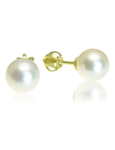 Goldie Zlaté náušnice s morskou Akoya perlou