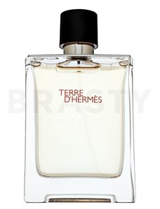 Hermes Terre D'Hermes toaletná voda pre mužov 100 ml