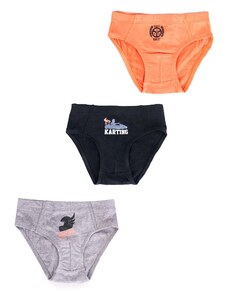 Yoclub Kids's Cotton Boys' Briefs Underwear 3-pack BMC-0028C-AA30-002