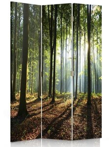 Gario Paraván Slnečné lúče v lese Rozmery: 110 x 170 cm, Prevedenie: Klasický paraván