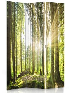 Gario Paraván Slnko v lese Rozmery: 110 x 170 cm, Prevedenie: Klasický paraván