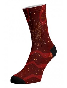 LEV bavlnené potlačené veselé ponožky Walkee