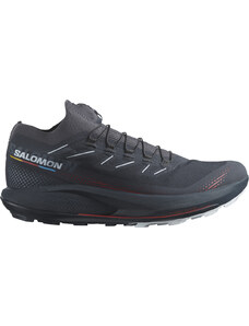 Trailové topánky Salomon PULSAR TRAIL 2 /PRO l47128700