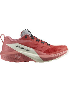 Trailové topánky Salomon SENSE RIDE 5 W l47215200