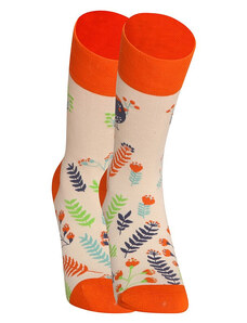 Veselé ponožky Dedoles Roztomilé vtáčiky (D-U-SC-RS-C-C-1569)