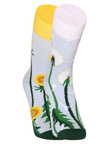 Veselé ponožky Dedoles Púpavová jar (D-U-SC-RS-C-C-15612)