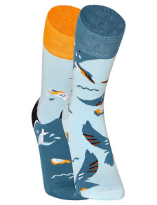 Veselé bambusové ponožky Dedoles Vták rybárik (D-U-SC-RS-C-B-1552)