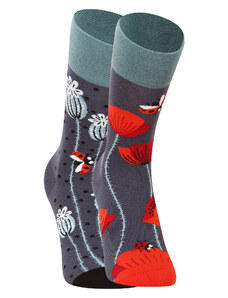 Veselé ponožky Dedoles Lienky a červené maky (GMRS208)