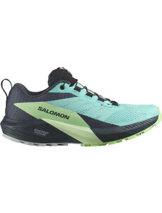 Trailové topánky Salomon SENSE RIDE 5 GTX W l47216000