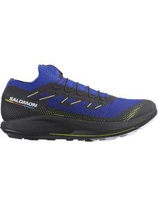 Trailové topánky Salomon PULSAR TRAIL PRO 2 l47385000