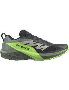Trailové topánky Salomon SENSE RIDE 5 l47311100