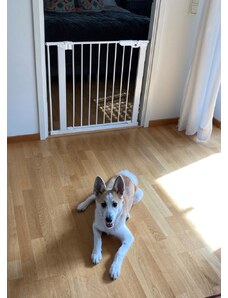 DogSpace Lassie tlaková bránka pre psíkov, 73-80 cm biela