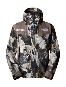 The North Face M Gore-Tex Mountain Jacket