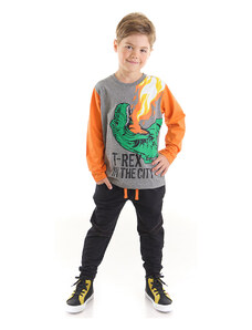 MSHB&G Súprava chlapčenských tričiek s dinosaurami T-rex