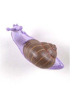 Nástenný vešiak Seletti Awake Snail #2